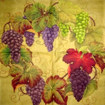 104 Grapes - 3-ply - Punch - CS